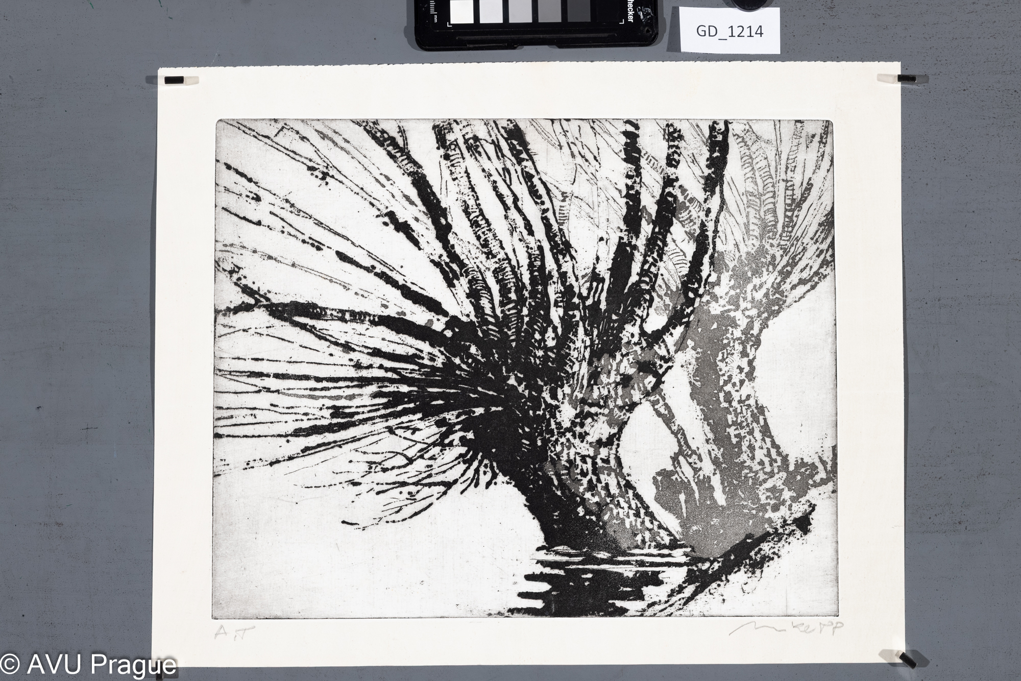 Kamil Mikel, Vrby, 1988, Akvatinta/rezerváž, 25,7 x 32,1,31 x 38,5,Čepelák, Chatrný