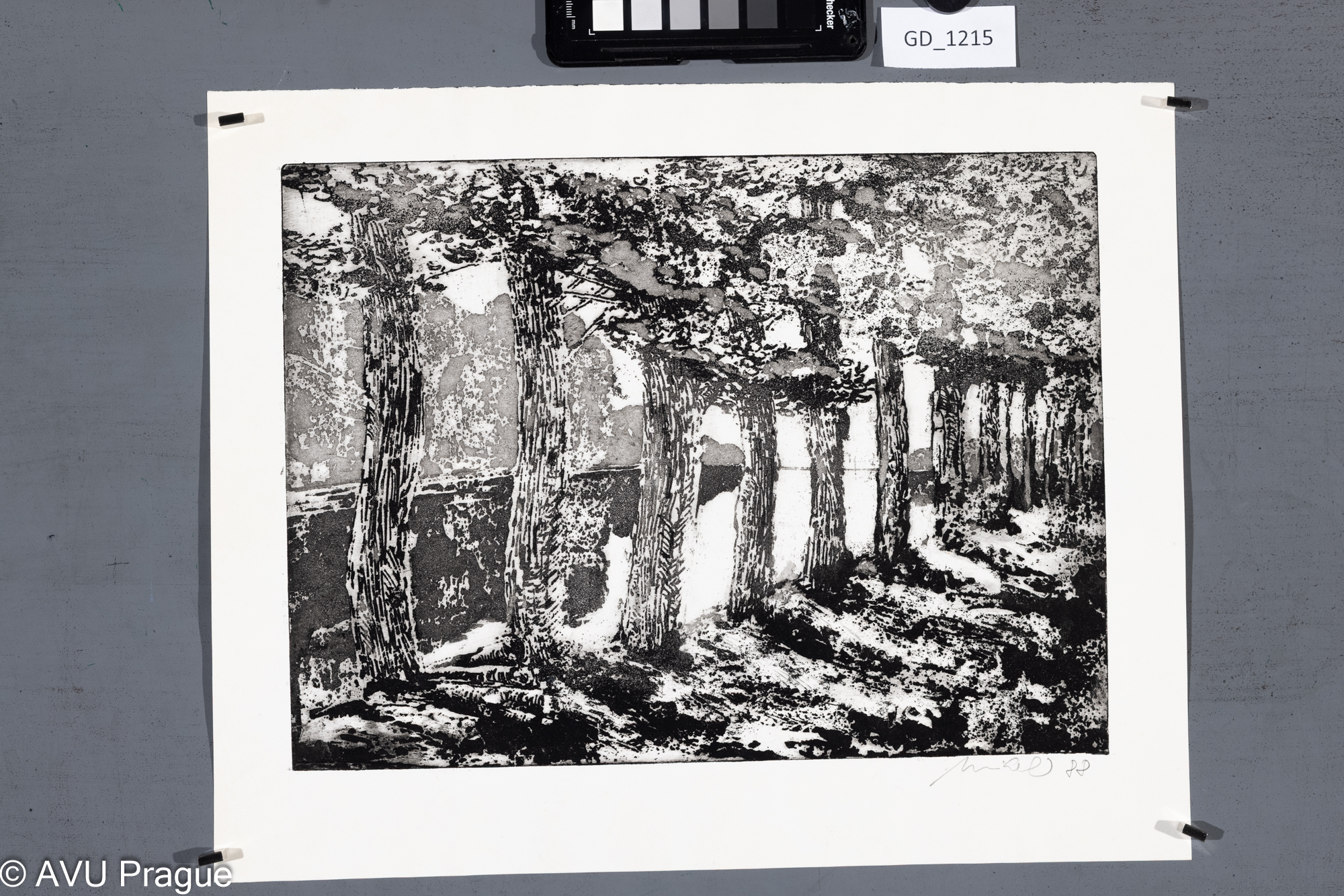 Kamil Mikel, Alej, 1988, Akvatinta/rezerváž, 23,7 x 31,8,30,6 x 38,1, Čepelák, Chatrný