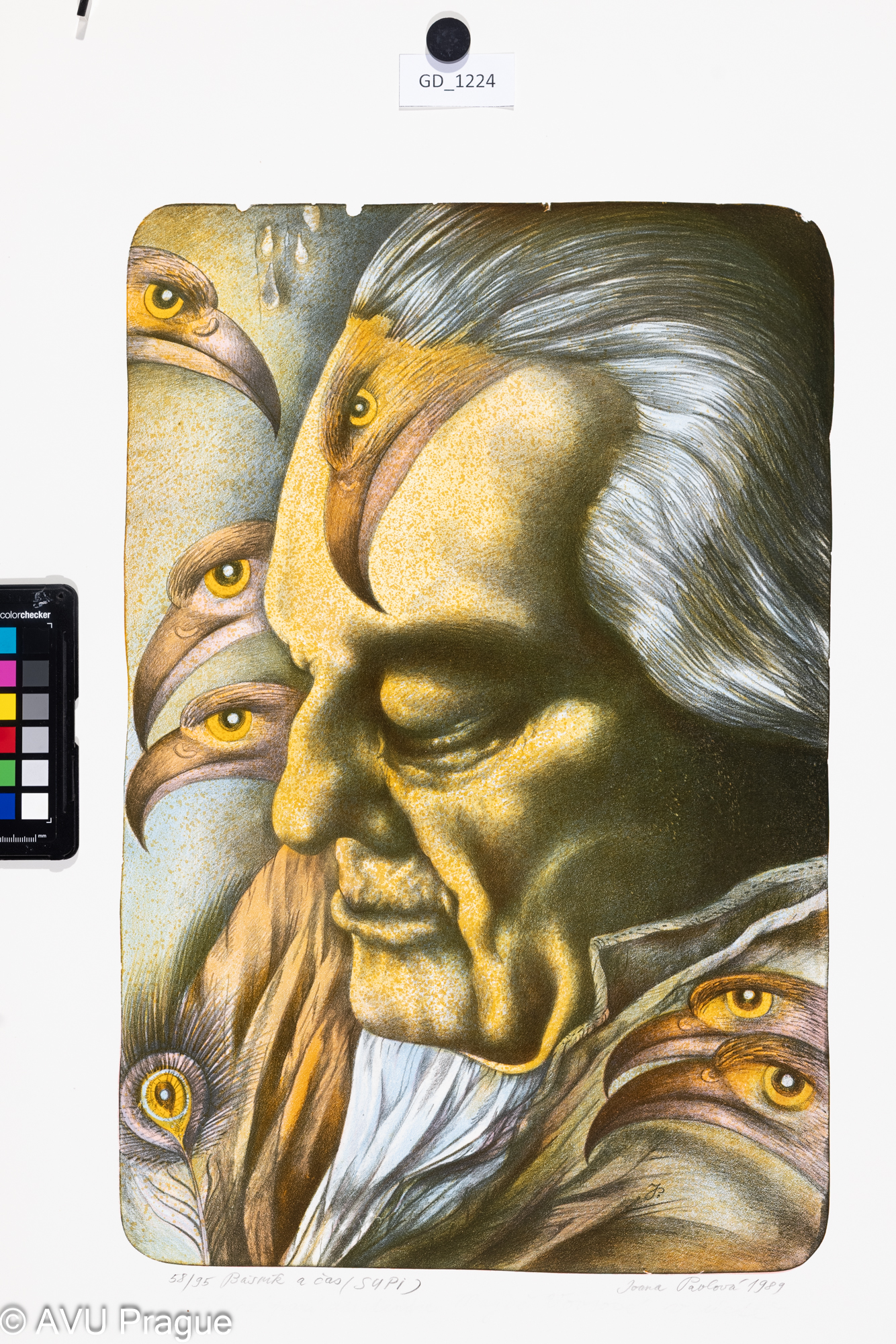 Ivana Pavlová, Básník a čas (supi), 1989, Litografie - čtyři barvy, 48,4 x 31,9, 73,3 x 51,2,Svolinský? Po studiu