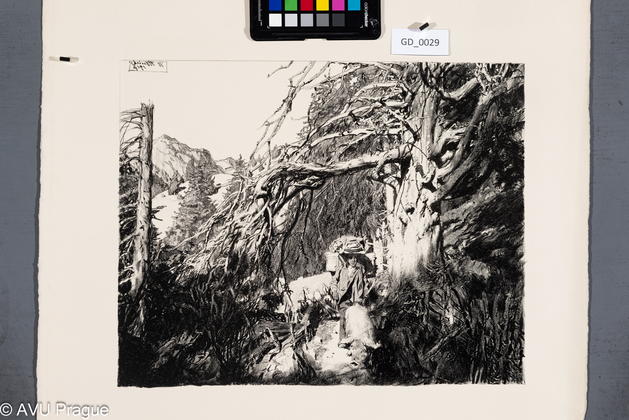 Aus dem Berner Oberland