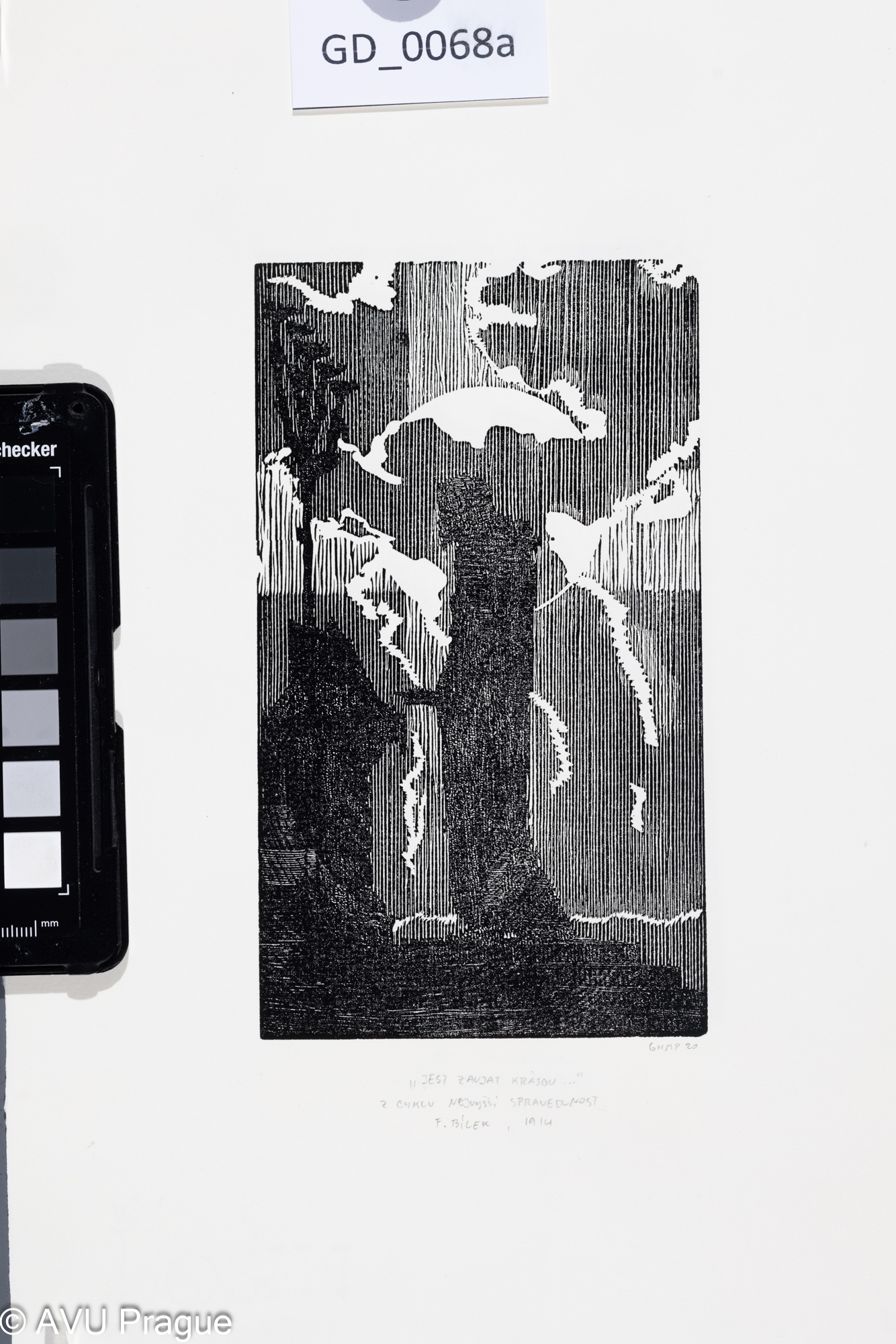 " Jest zaujat krásou..."