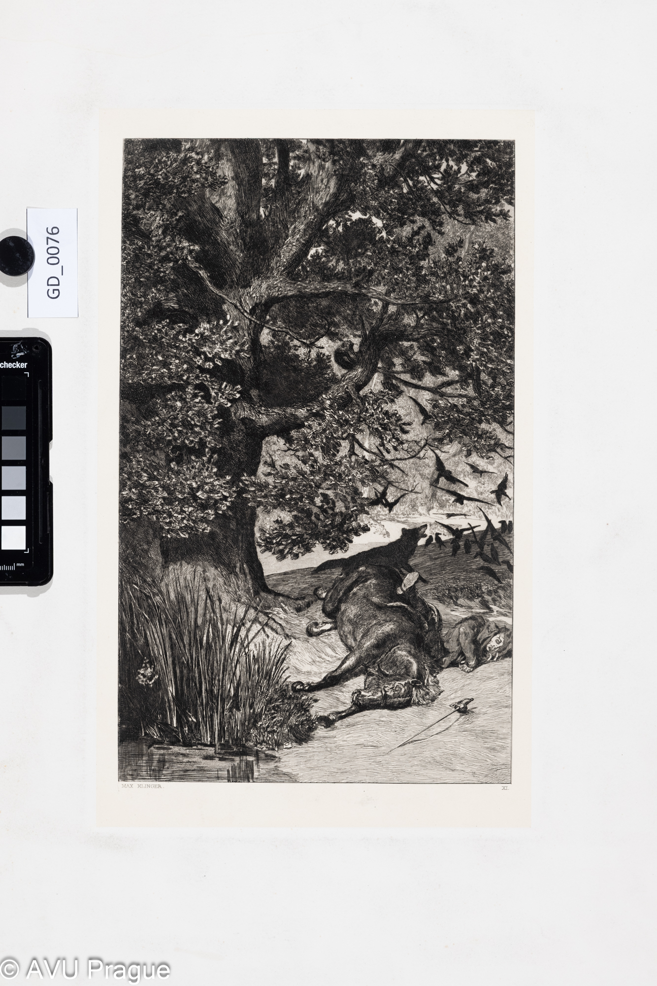 Padlý jezdec / Gefallener Reiter