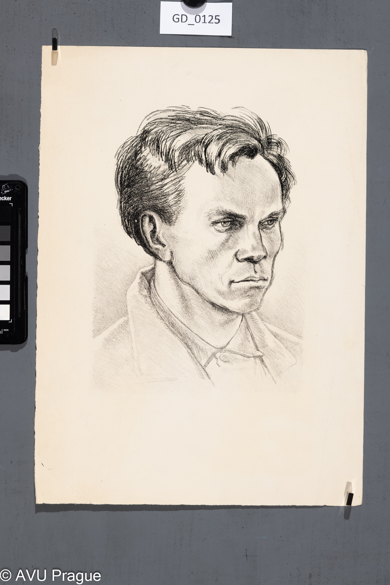 Hlava mladého muže