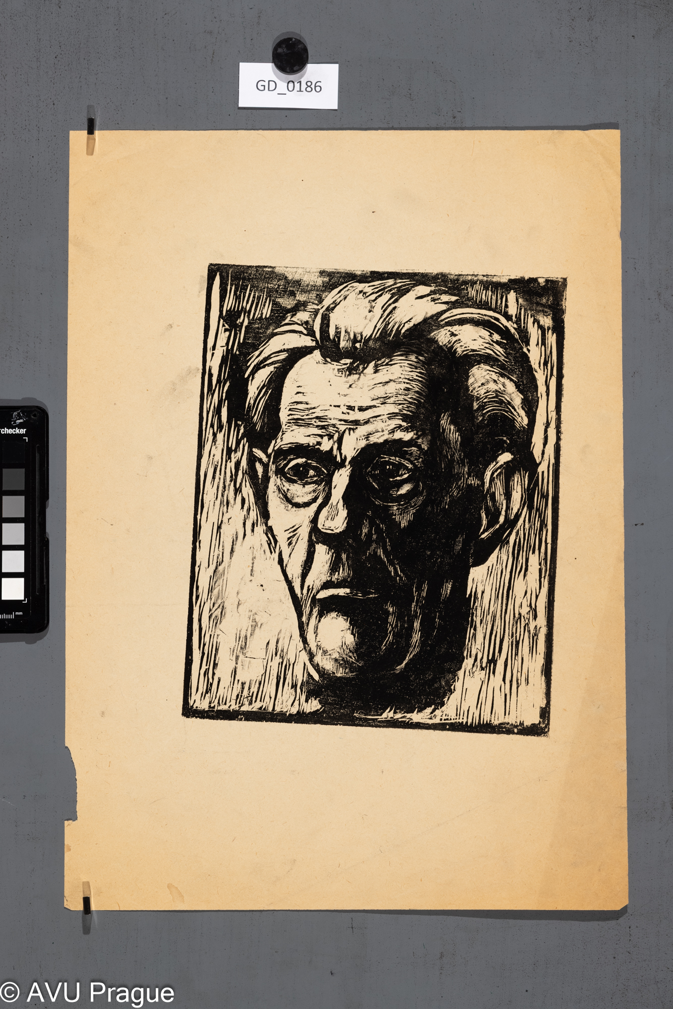 Mužská hlava s brýlemi