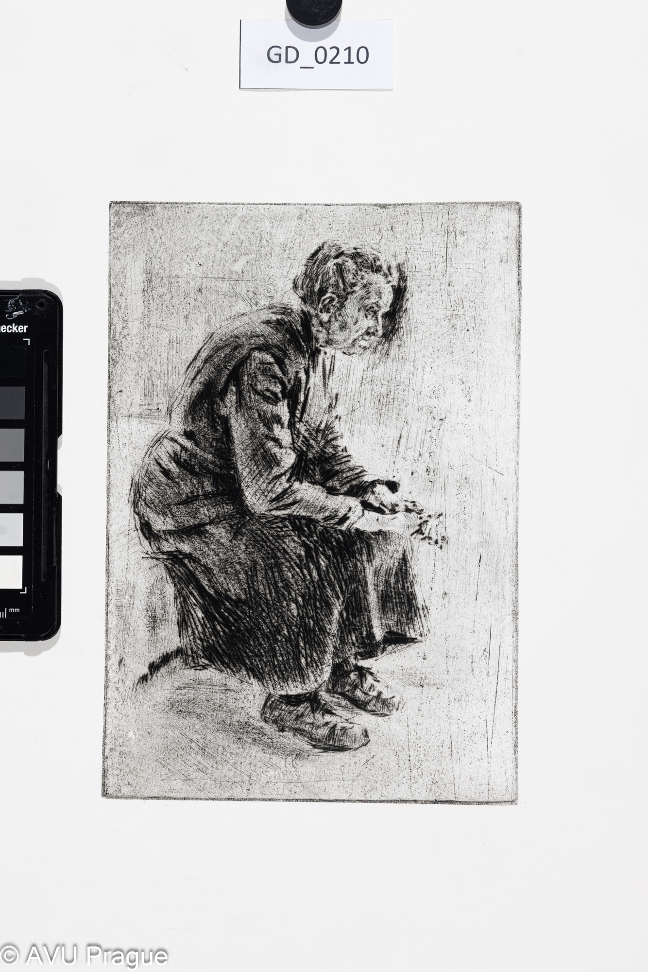 Sedicí stará žena