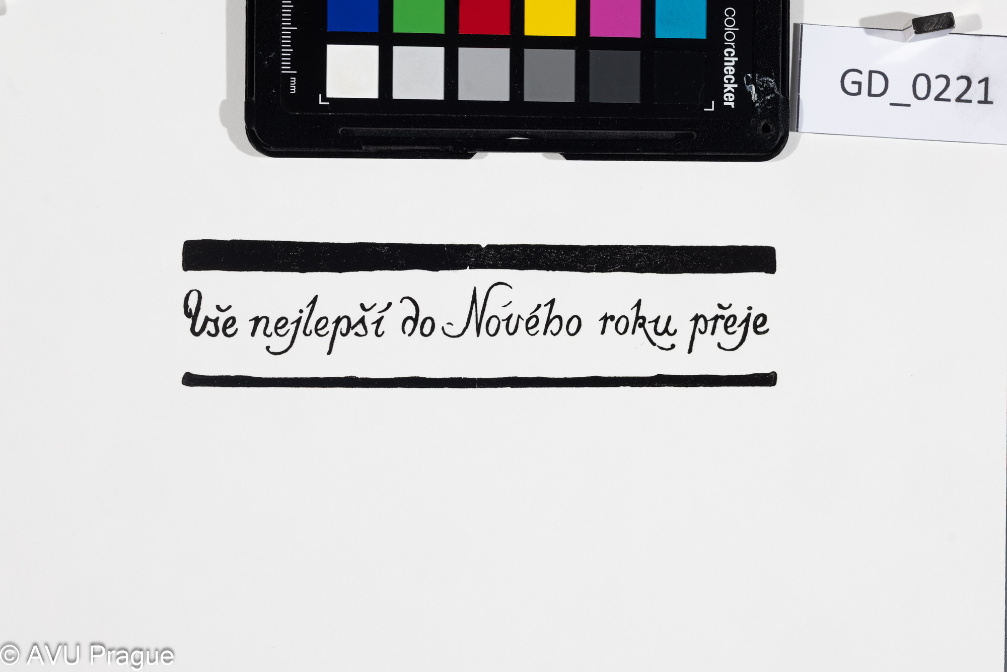 Vše nejlepší do nového roku přeje_novoročenka