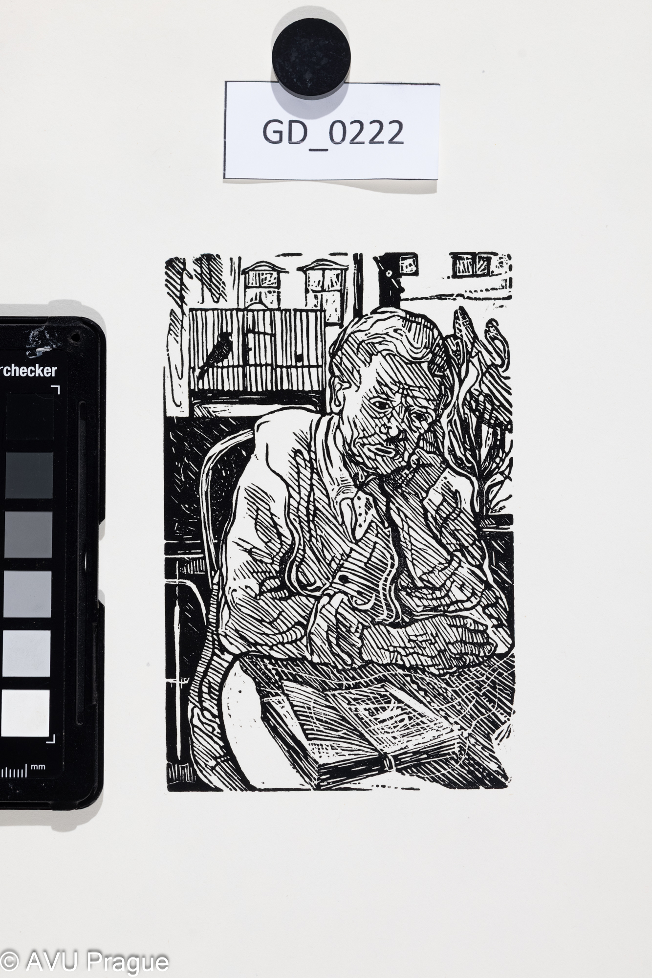 Čtenářka _Babička?