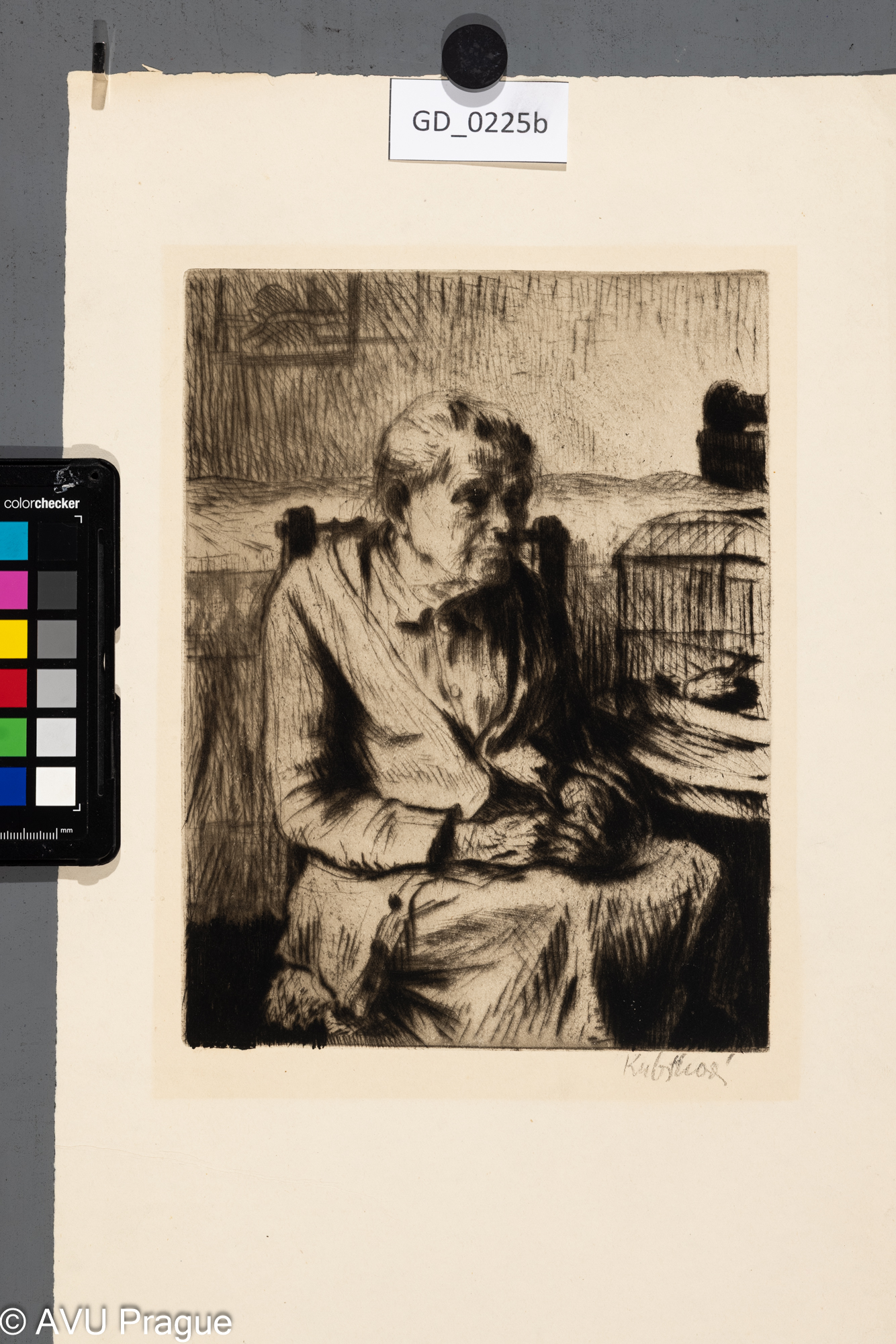 Babička s kanárkem