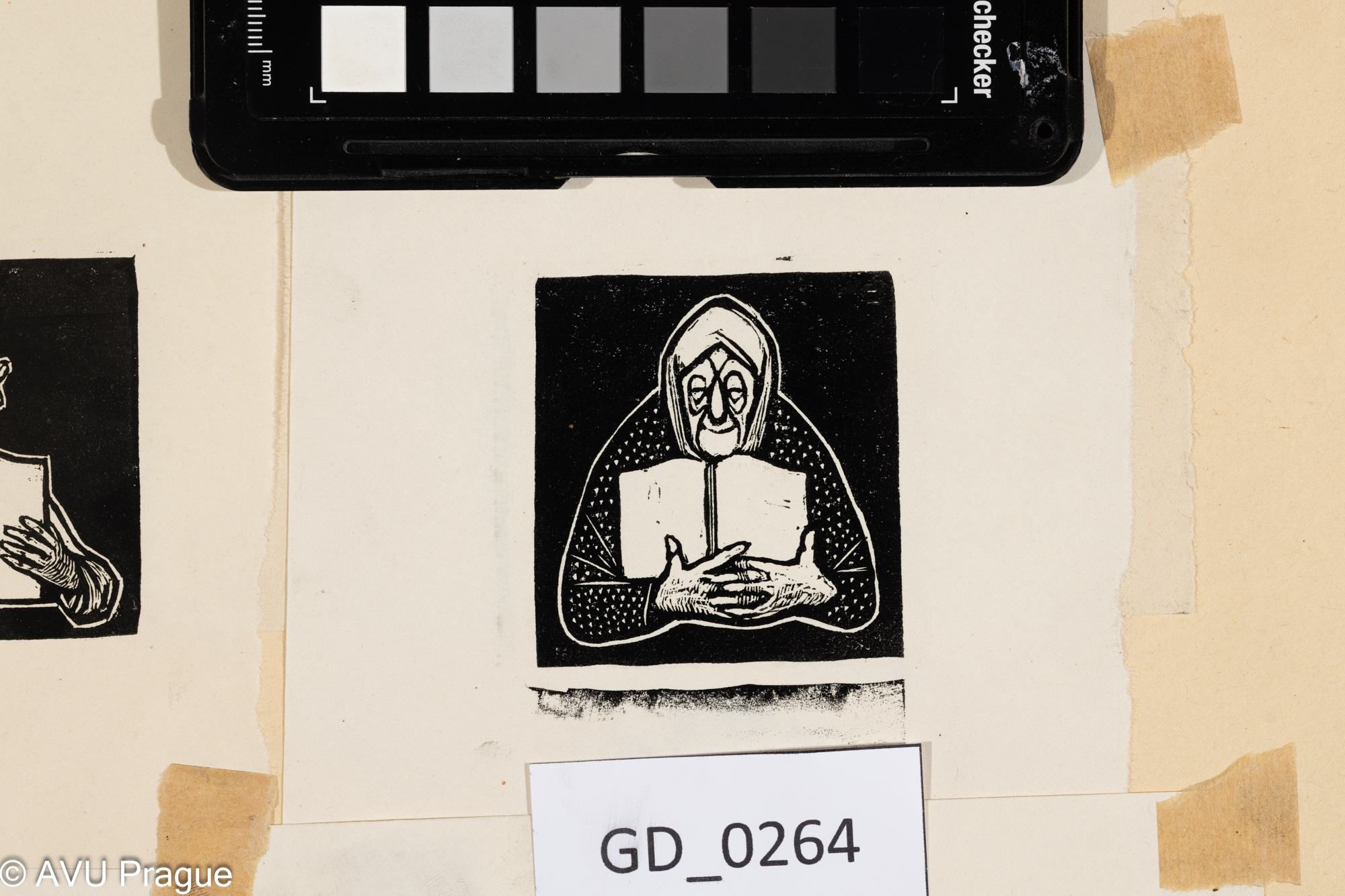 Čtenářka babička