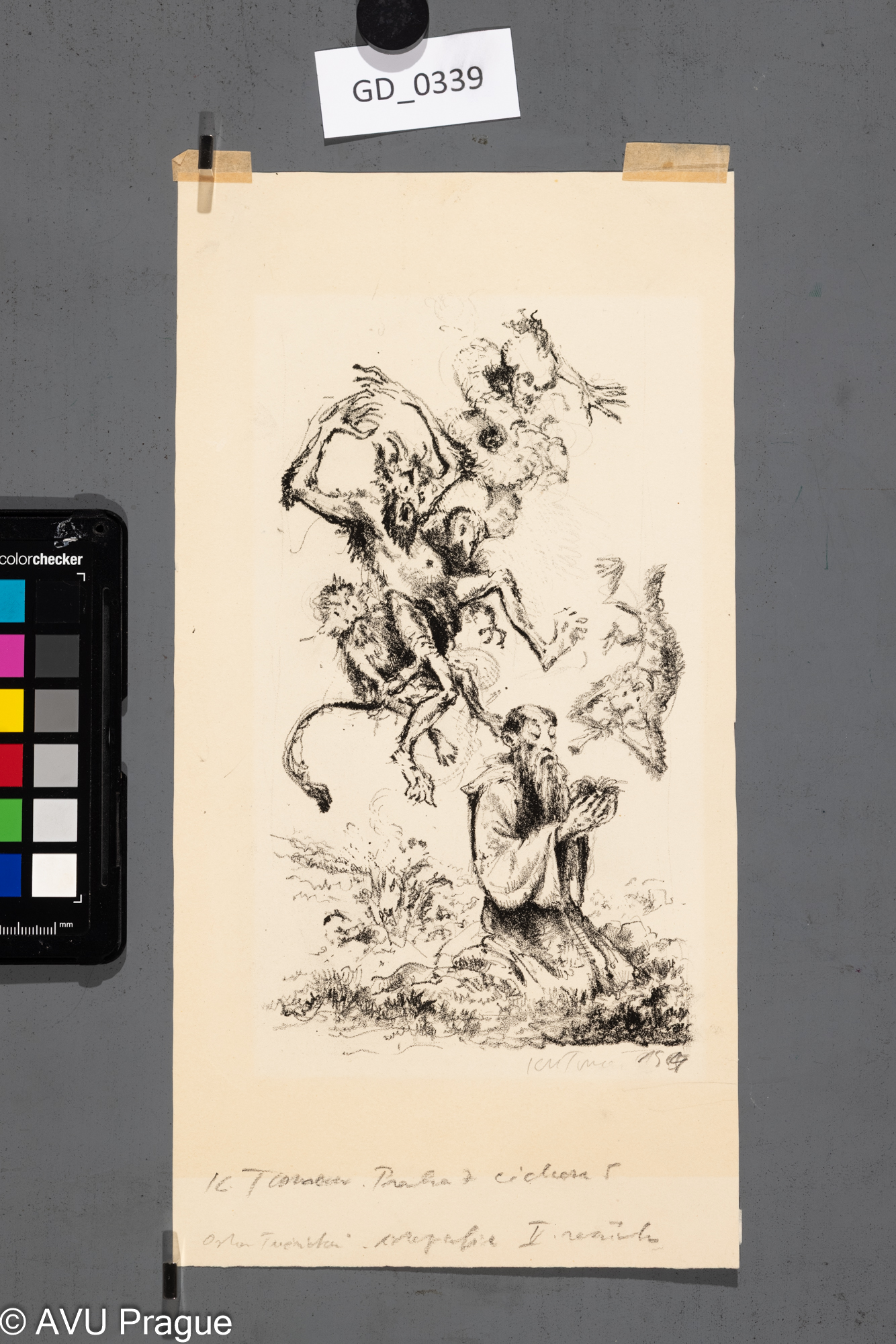 Ilustrace - Ostrov tučnákůn (Anatole France)