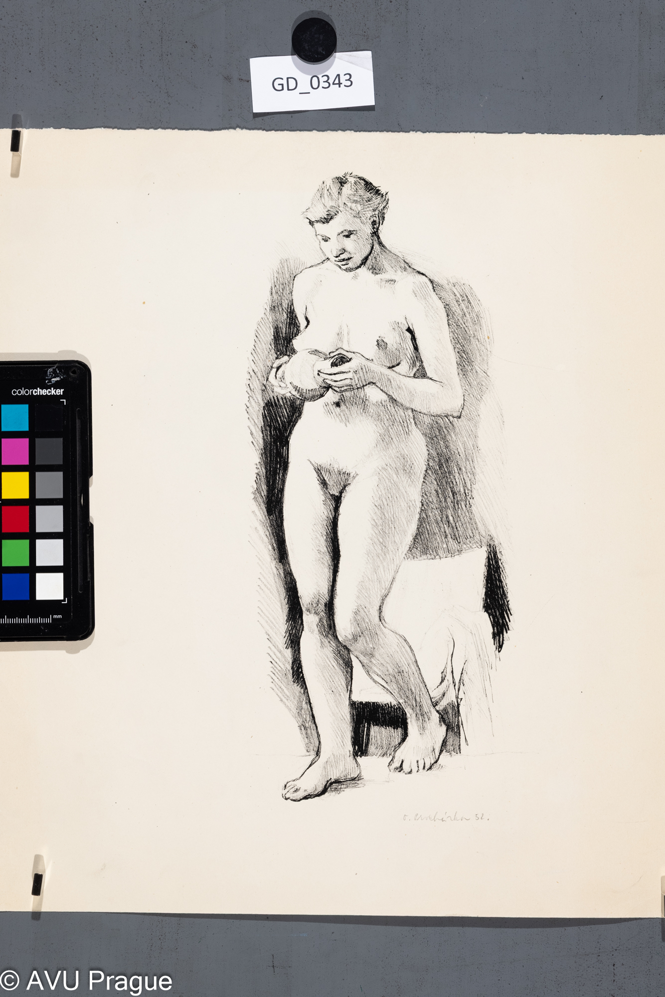 Akt_stojící modelka