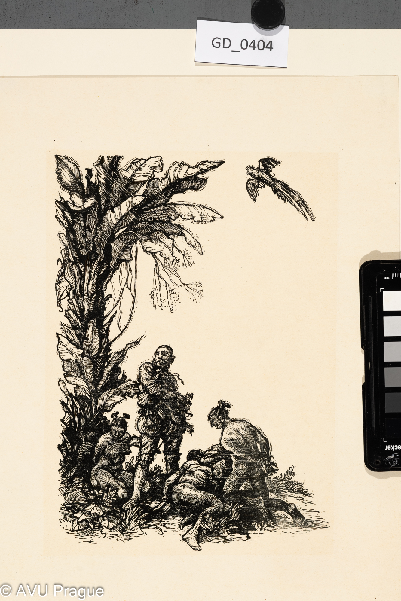 Ilustrace_Titulní list ?_zajatí indiání?