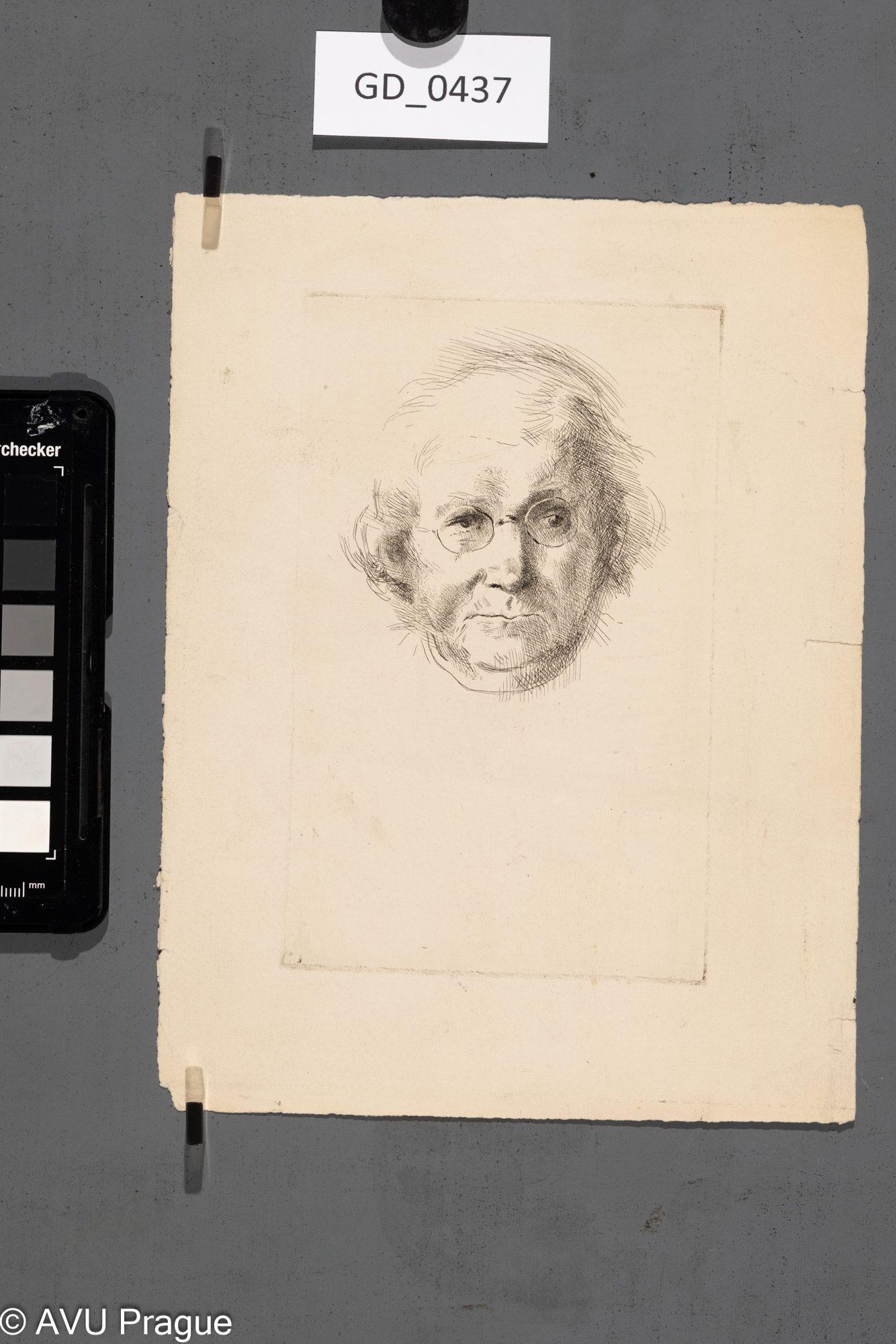 Hlava modelu s brýlemi