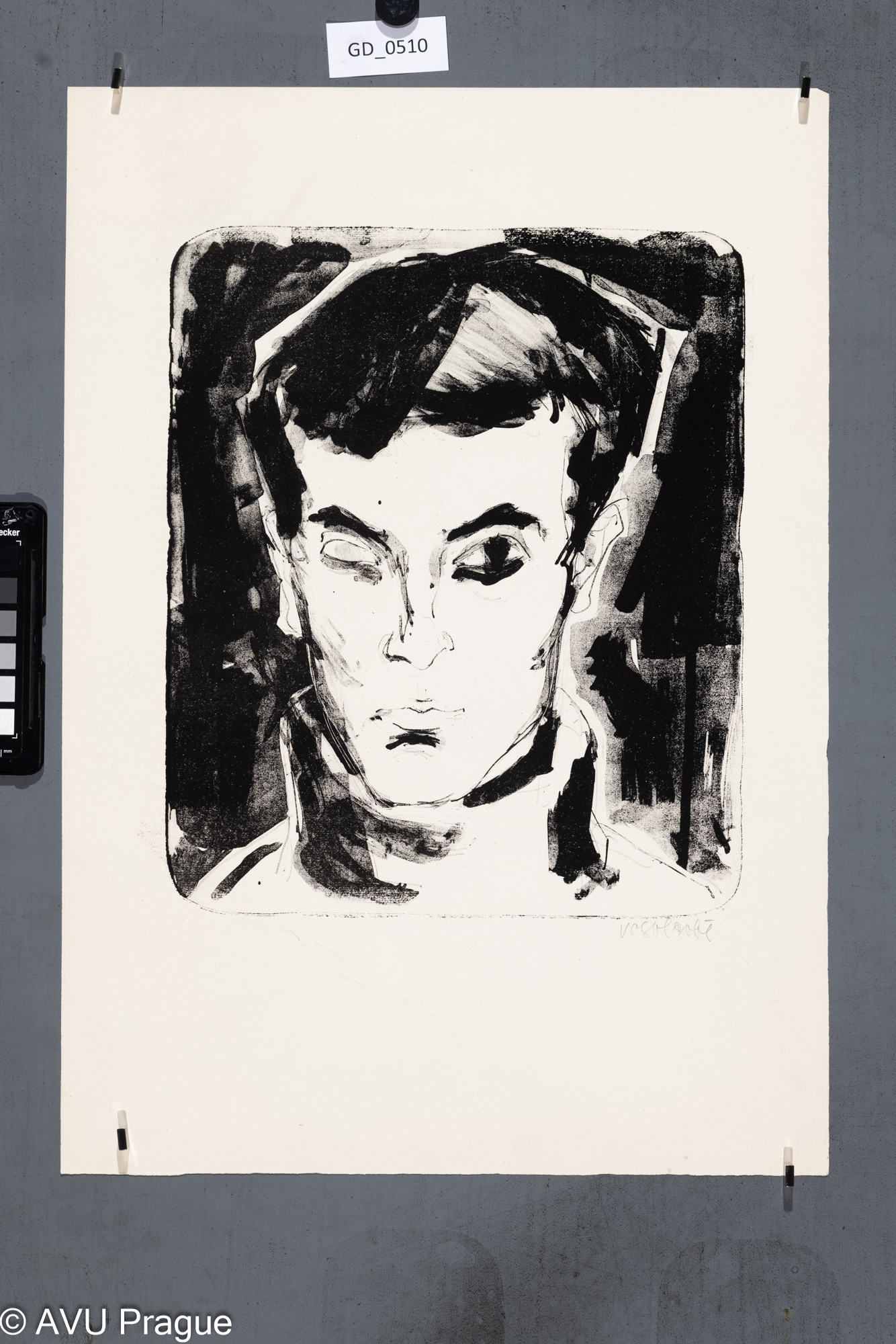 Hlava mladého muže