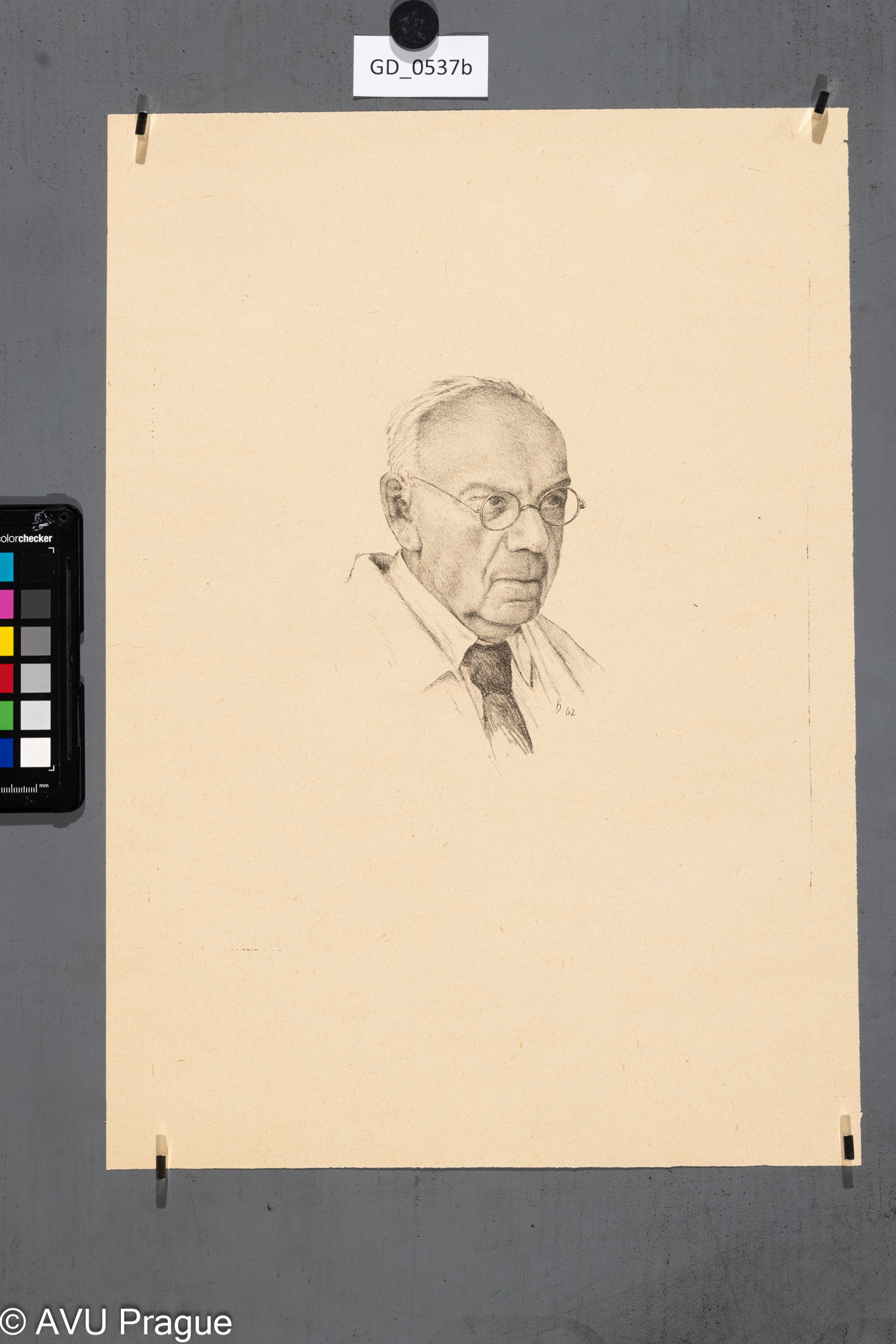 Hlava muže s brýlemi