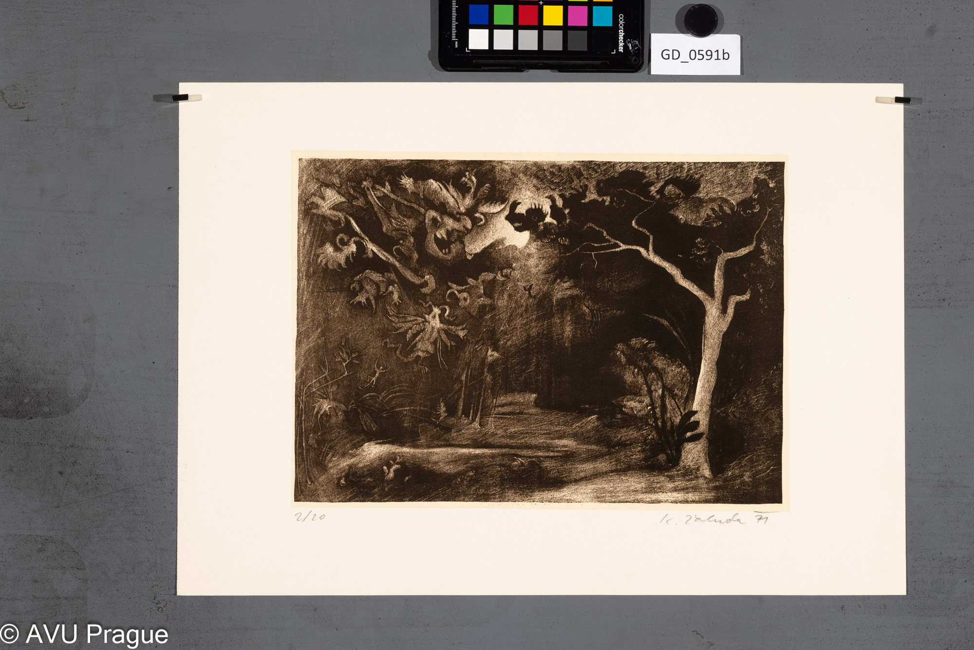 Ilustrace_příšery v lese