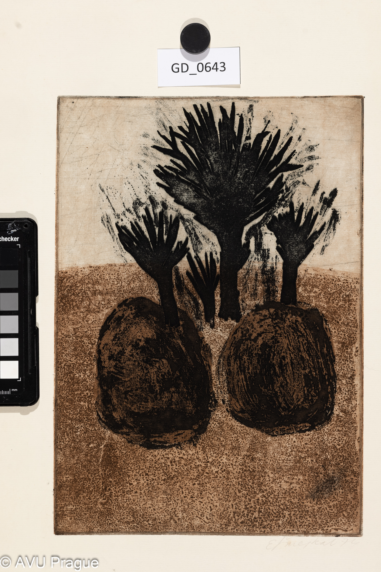 Čtyři stromy_diplom