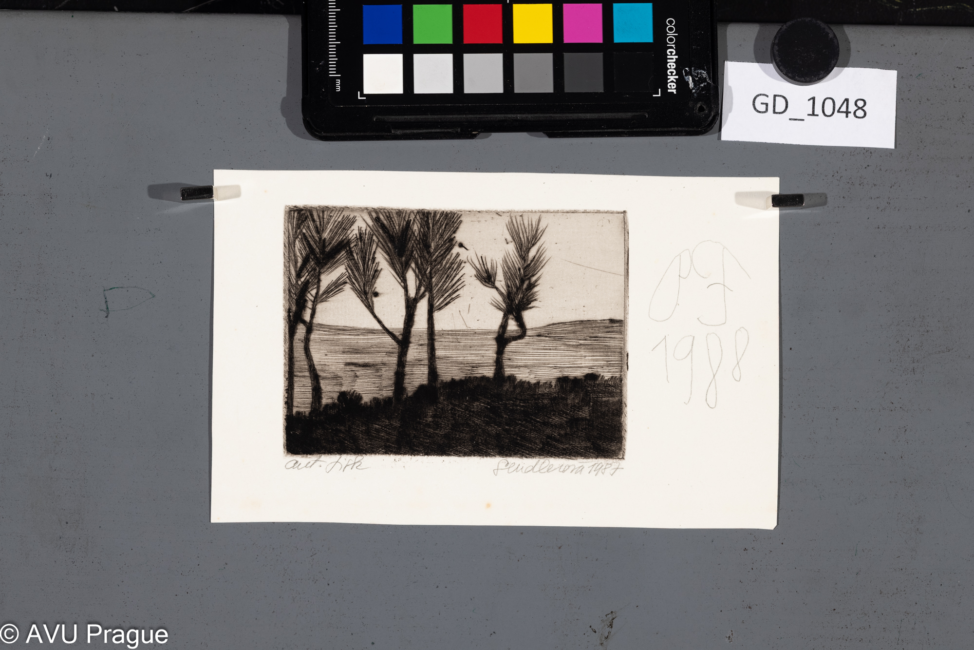 Stromy v krajině_PF 1988