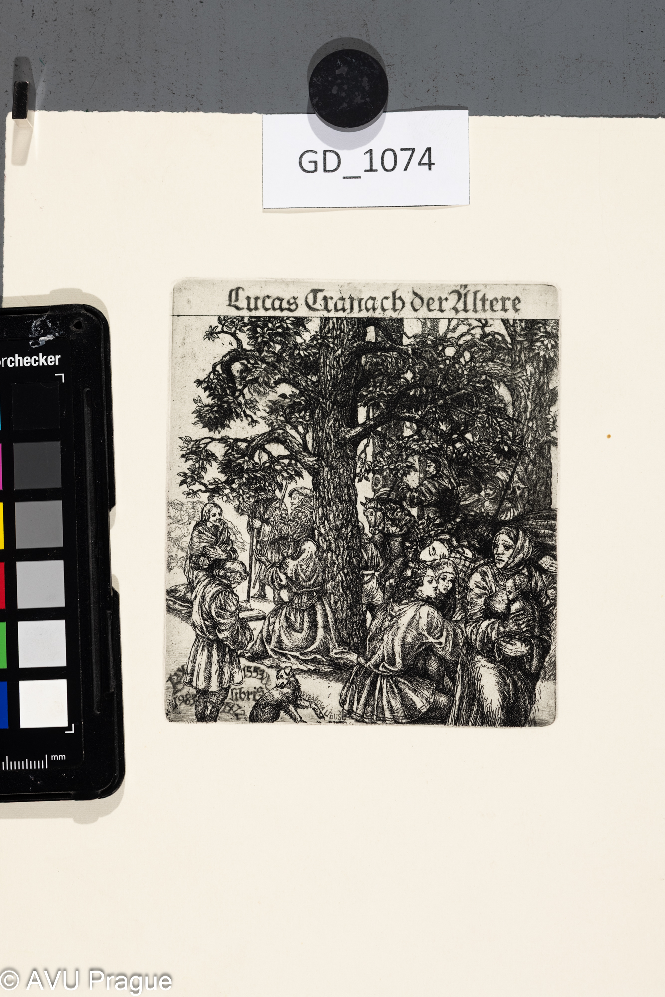 Lucas Cranach der altere