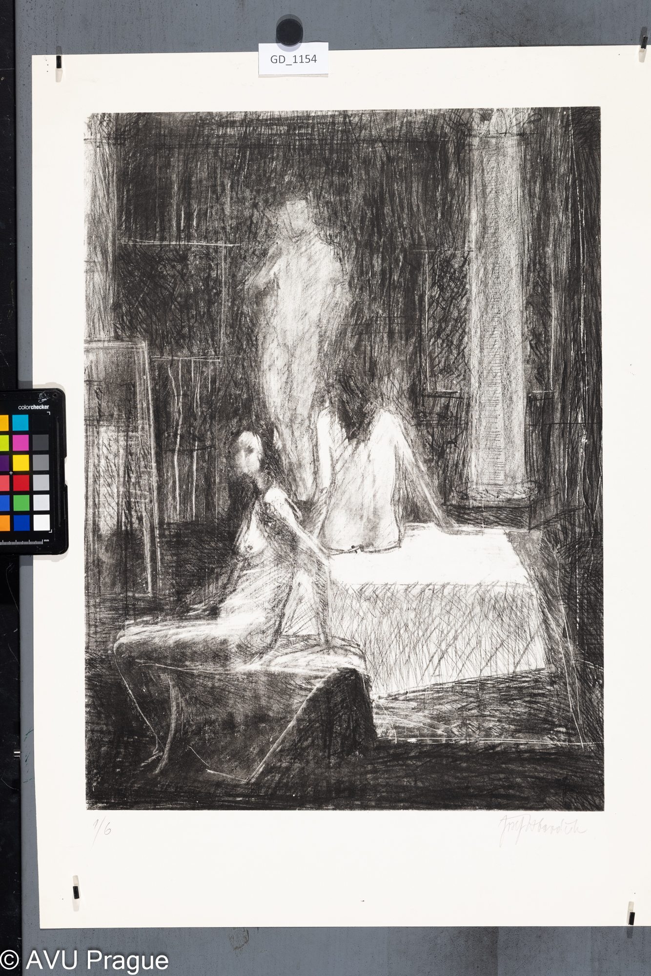 Modelky na hale MG AVU