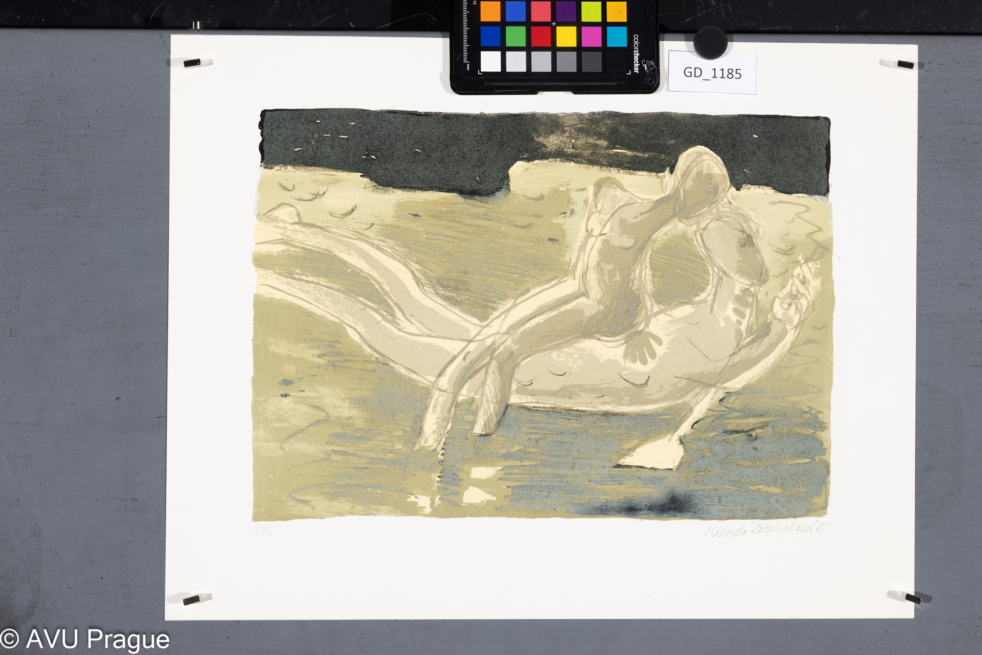 Dvojice plovoucí na  vodě