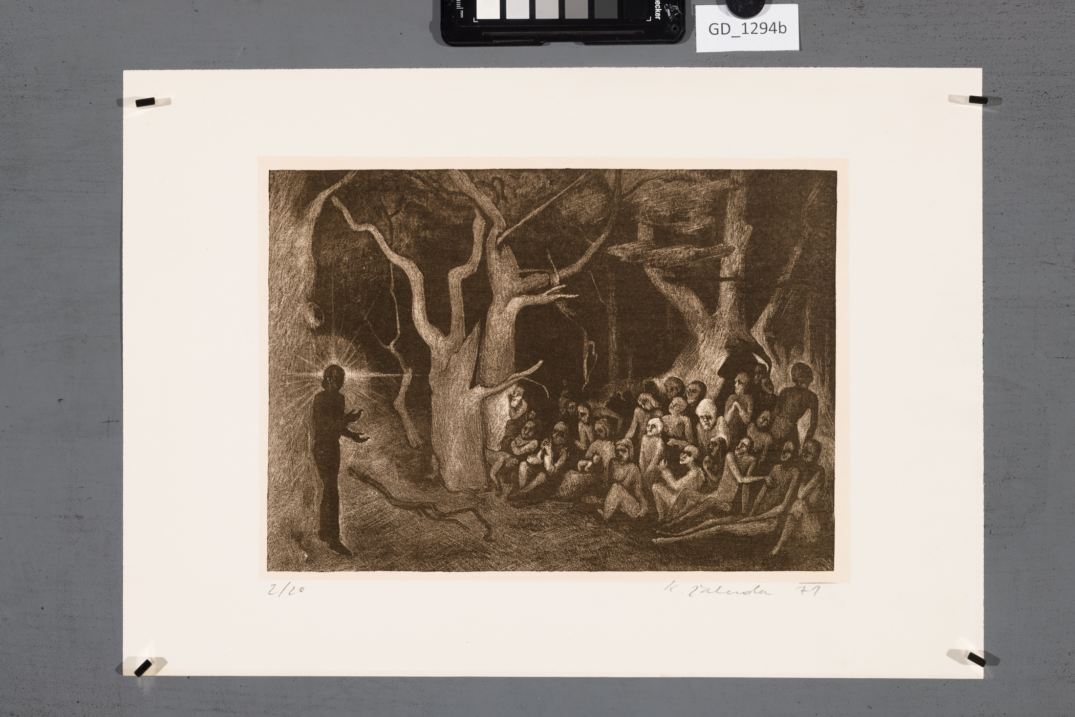 Ilustrace - 