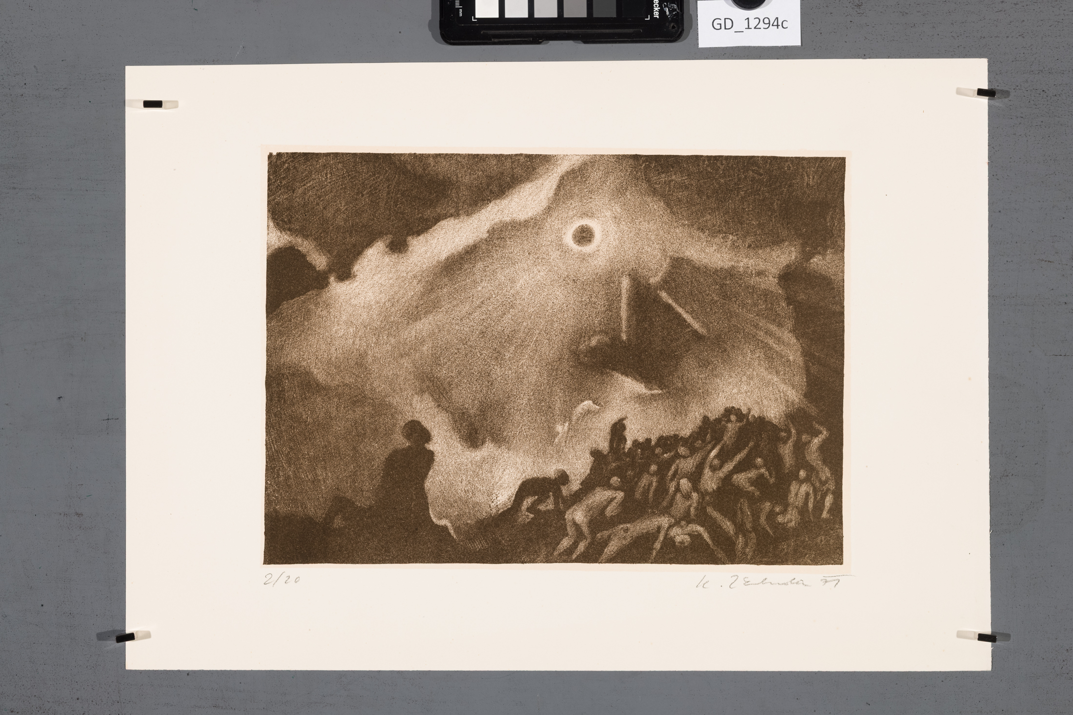Ilustrace - 