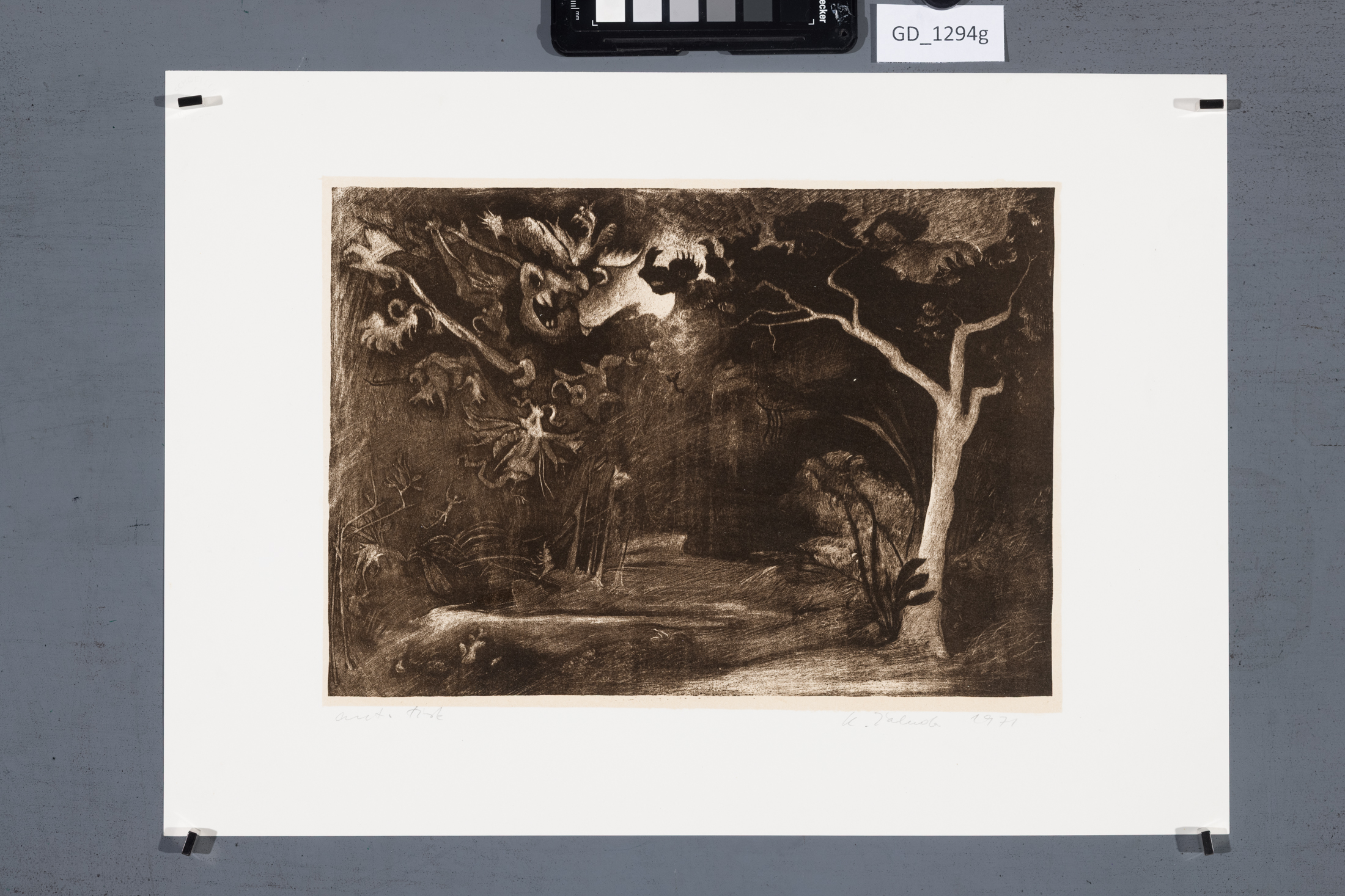 Ilustrace - 