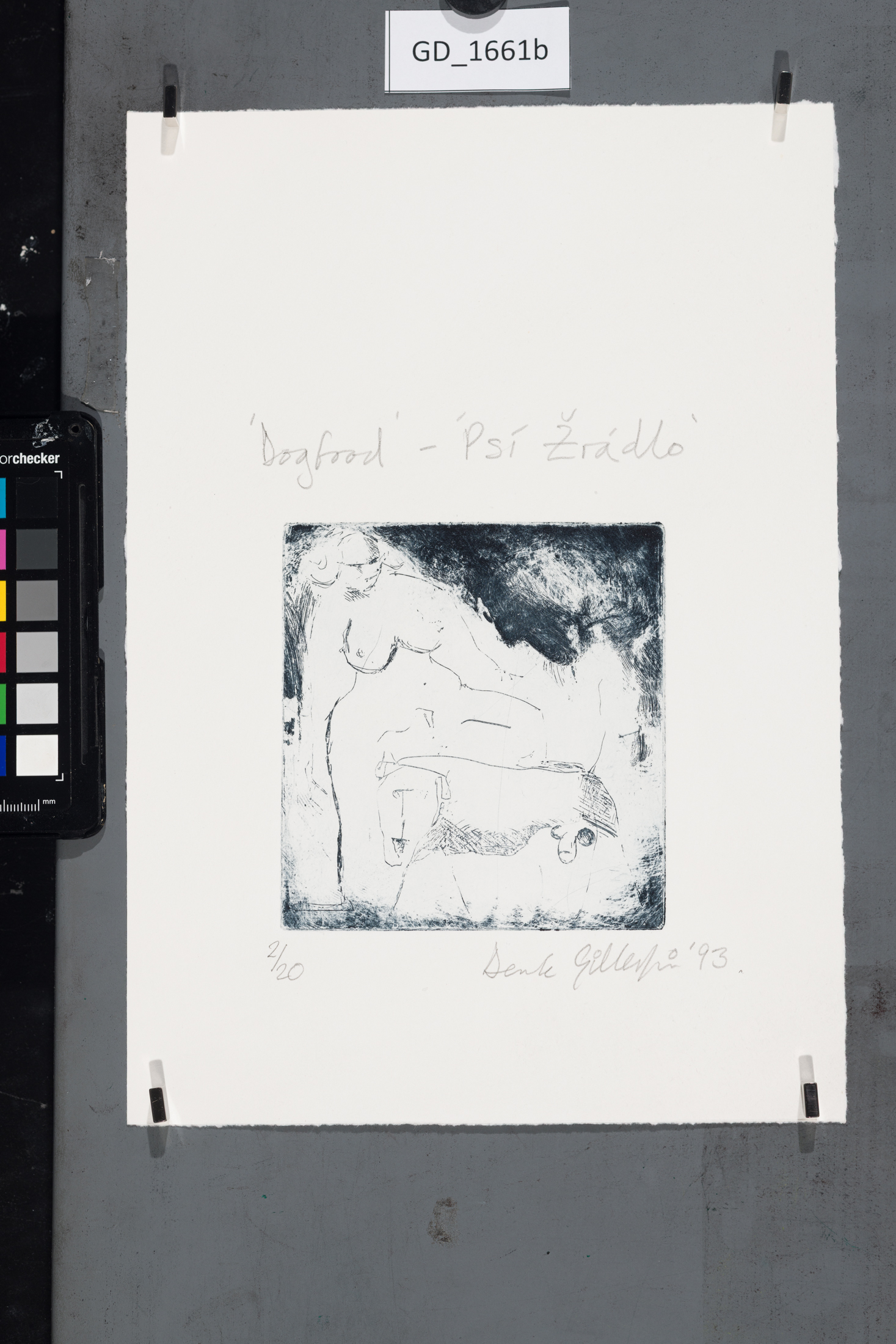 Dogfood - Psí žrádlo