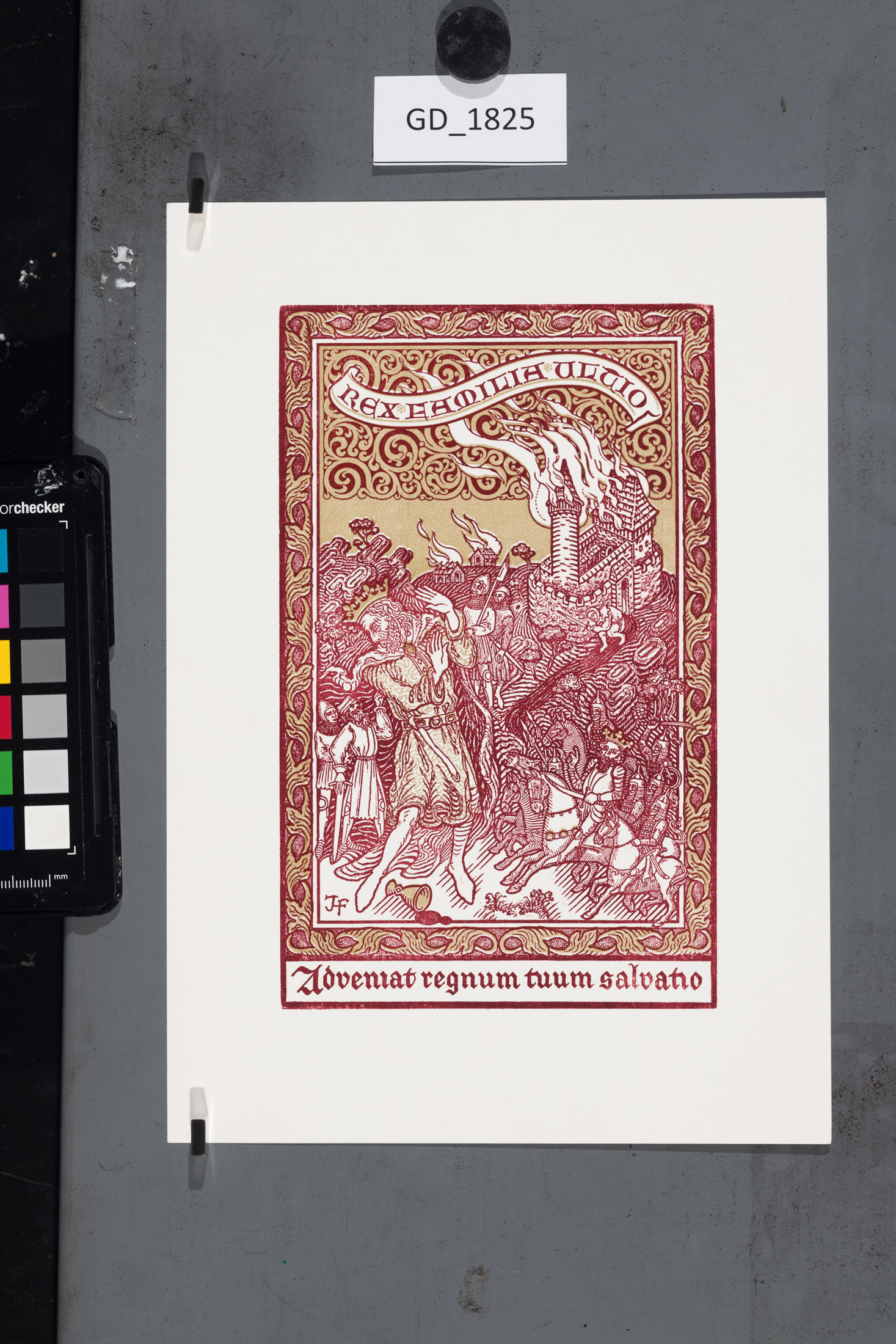 Adveniat regnum tuum salvatio 